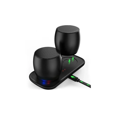 Nano Twins Speakers